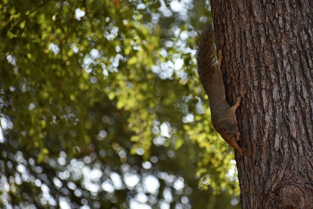 这种变动通 这种变动通