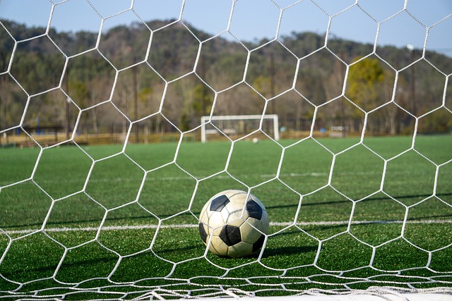 勇士队在保 勇士队在保