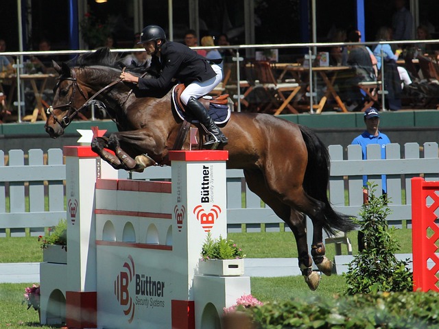 找到合适的 找到合适的