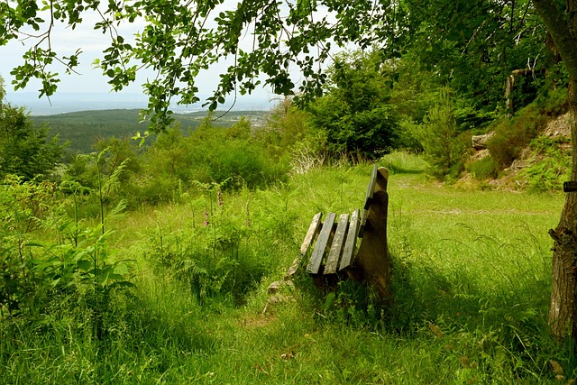類似事件的 類似事件的