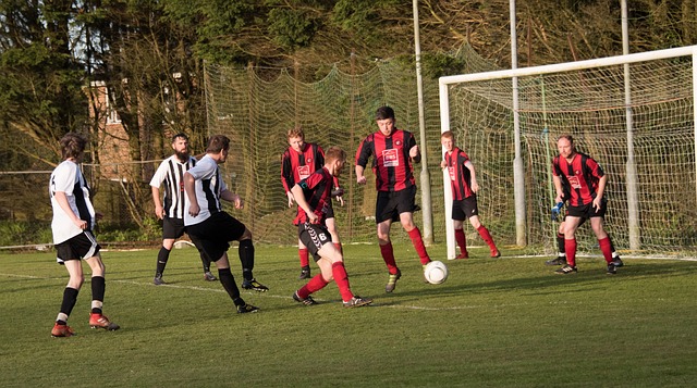 迎來更多可 迎來更多可