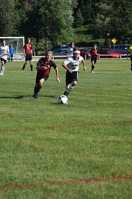 而库里的1 而库里的1