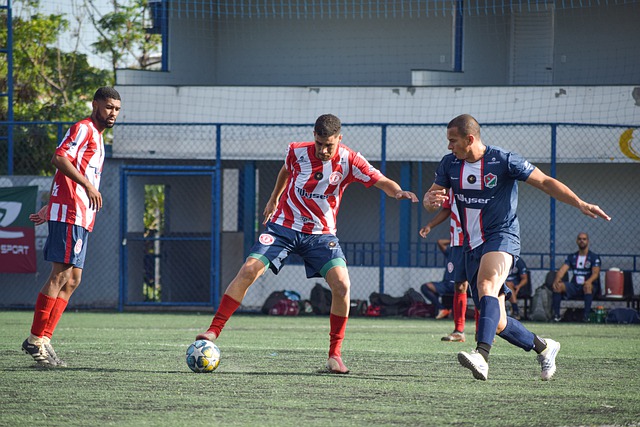 个篮板的组 个篮板的组